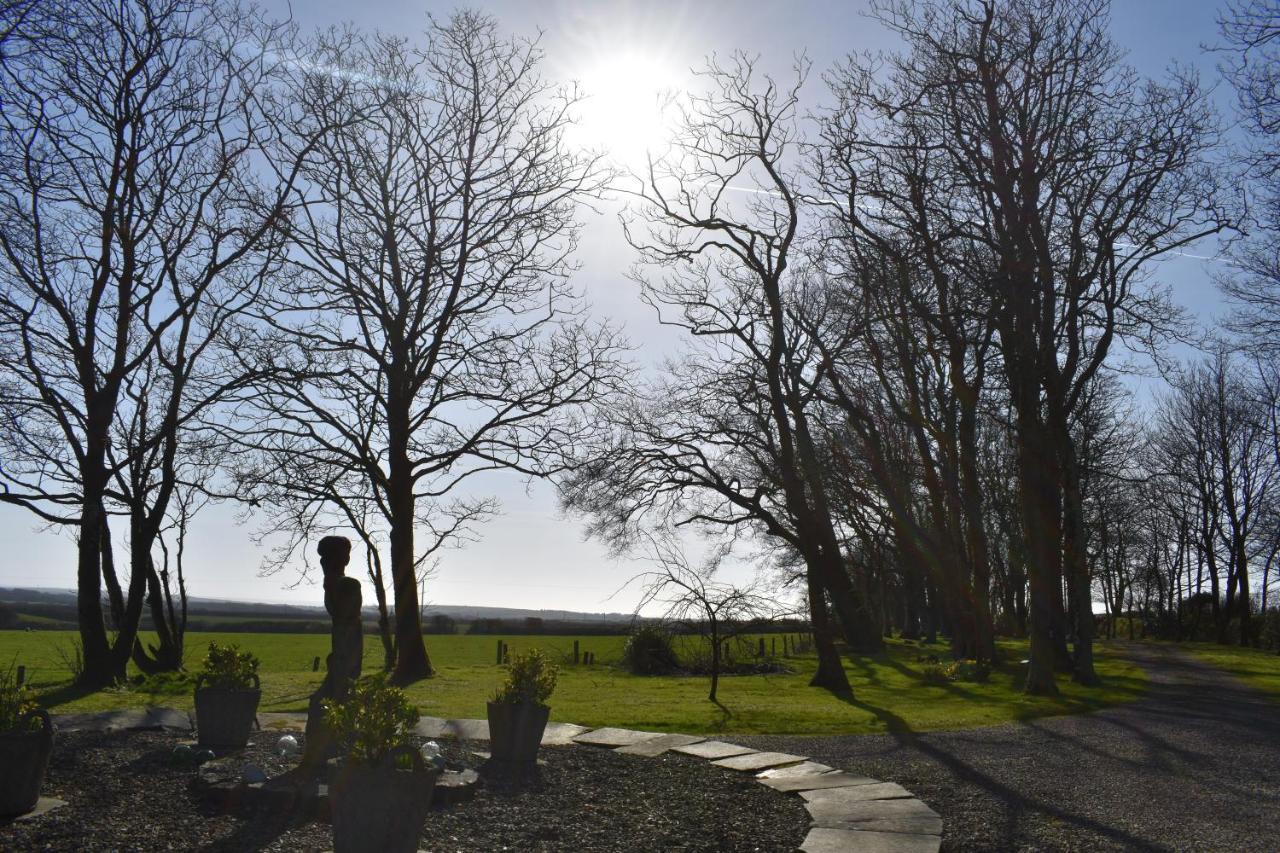 Crug Glas Country House St Davids Exterior foto
